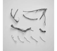 Skeleton Richard - These Charms May Be Sung Over A Wound