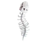 Skelett Dinosaurier Kostüm - Plüsch Wirbelsäule & Kopfschmuck Set | Realistische Cosplay Requisito per l'erwachsene Kinder, Karneval Fasching Maskenball Party Outfit, Fotostudio Zubehör Halloween