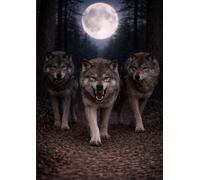 Sketchbook A4 with Blank Pages - Creative Album for Drawing and Writing with 110 Numbered Pages No Lines | Timberwolves Edition: Creative sketchbook ... and note-taking with complete freedom.