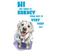 Sketchbook HI MY NAME IS BARNEY: Minimalist Sketchbook for Creative Expression | 100 Blank Pages | Large Drawing Journal