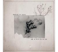 Sketches For Albinos - Days Of Being Wild & Kind