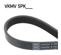 SKF Cinghia Scanalata per BMW 5er Touring 530d 525d X5 3.0d 330d 330xd