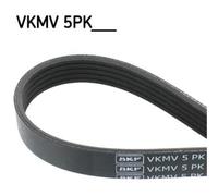 SKF Cinghia Scanalata per Mitsubishi Lancer VIII Sportback Toyota Rav 4 II