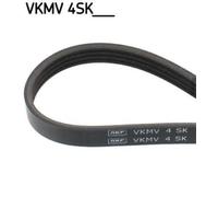 SKF Cinghie multi gola