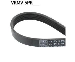 SKF Cinghie multi gola
