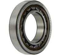 SKF Cuscinetto a rulli radiali cilindrici, 55 ID, Cuscinetti in acciaio