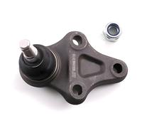 SKF Giunto di supporto/guida VKDS816000