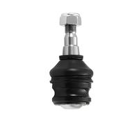 SKF Giunto di supporto / guida VKDS818000