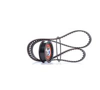 Set di cinghie di distribuzione SKF VKMA 01001