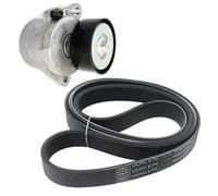 SKF Kit Cinghie Poly-V VKMA 31273 EPDM (Etilene-Propilene-Diene-Caucciù)