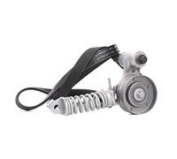 SKF Kit Cinghie Poly-V VKMA 35113 EPDM (Etilene-Propilene-Diene-Caucciù)