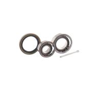 SKF Kit Cuscinetto Ruota - Posteriore - Adatto a Toyota Cynos Convertible (_