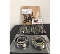 SKF KIT REVISIONE BLOCCO CUSCINETTI + PARAOLI MOTORE ROTAX 122
