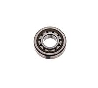 SKF NJ 204 ECP/C3 Cuscinetto radiale cilindrico a rulli