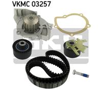 SKF Pompa Acqua & Kit Cinghia Distribuzione - Per Citroen, Fiat, Ford, Peugeot,