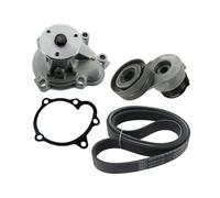 SKF Pompa acqua + Kit cinghia Poly V