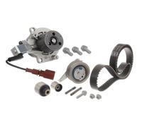 SKF VKMC 01278 Kit tendicinghia con pompa elettrica