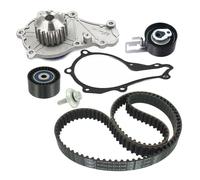 SKF Pompa acqua + Kit cinghie dentate VKMC03315