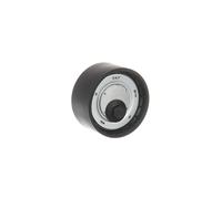 SKF Rullo Guida Cinghia Poly V Per Fiat Ducato Furgone 140 MultiJet