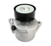 SKF Rullo tenditore, Cinghia Poly-V VKM31130 | Compatibile con: AUDI A1, A1 Sportback, A3, A3 Cabriolet, A3 Limousine, A3 Sportback, A4 Allroad B8, A4 Allroad B9, A4 B8
