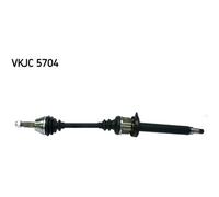 SKF Semiasse Anteriore Destro per Ford Fiesta IV Ja _ Jb _ J5_ J3_ VKJC 5704
