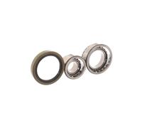 Set di cuscinetti ruota SKF VKBA 1499