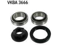 Set di cuscinetti ruota SKF VKBA 3666