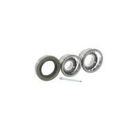 SKF Kit cuscinetto ruota VKBA 3796 con guarnizione ad anello per alberi