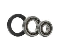 SKF Kit cuscinetto ruota VKBA 528 con guarnizione ad anello per alberi