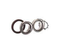 Set di cuscinetti ruota SKF VKBA 6700