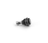 SKF VKDS 313001 Testina braccio oscillante