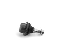 SKF VKDS 317011 Testina braccio oscillante