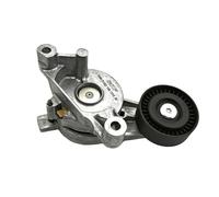 SKF Rullo tenditore cinghia Poly-V
