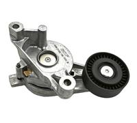 SKF Rullo tenditore cinghia Poly-V VKM 31022