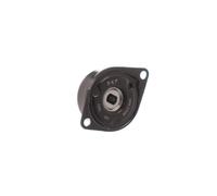 SKF VKM 31030 Rullo tenditore cinghia Poly-V