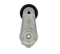 SKF VKM 31066 Rullo tenditore cinghia Poly-V Sx Rullo tendicinghia Puleggia tendicinghia Rullo tenditore cinghia
