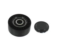 Skf Unità Tendicinghia Vkm31301