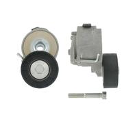 SKF VKM 32046 Rullo tenditore cinghia Poly-V Rullo tendicinghia Puleggia tendicinghia Rullo tenditore cinghia