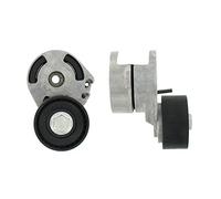 VKM33061 Tendicinghia, Cinghia Poly-V (MARCA-SKF).