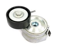 SKF VKM 33133 Rullo tenditore cinghia Poly-V Rullo tendicinghia Puleggia tendicinghia Rullo tenditore cinghia