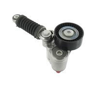 SKF Rullo tenditore, Cinghia Poly-V compatibile con RENAULT VKM 36070