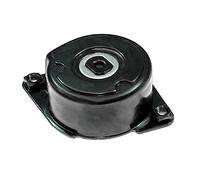 SKF VKM 38208 Rullo tenditore cinghia Poly-V Rullo tendicinghia Puleggia tendicinghia Rullo tenditore cinghia