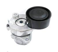 SKF VKM 38882 Rullo tenditore cinghia Poly-V