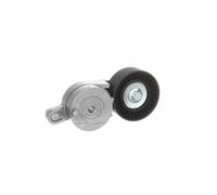 SKF Rullo tenditore cinghia VKM 61091 Poly-V