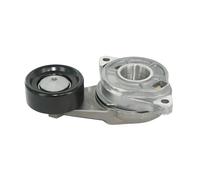 Originale SKF Rullo Tensionatore Cinghia A V VKM 63021 Per Honda