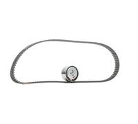 Set di cinghie di distribuzione SKF VKMA 02206