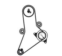 Set di cinghie di distribuzione SKF VKMA 02983