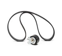 SKF VKMA 06134 Kit cinghia di distribuzione per RENAULT Clio III Hatchback