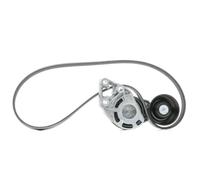 SKF VKMA 31036 Kit Cinghie Poly-V per VW POLO (9N) Fox Hatchback (5Z1, 5Z3, 5Z4)