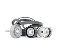 SKF VKMA 31121 Kit Cinghie Poly-V per VW Polo Hatchback (6R1, 6C1) POLO (9N)